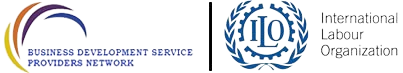 Business Development Service Providers Network
